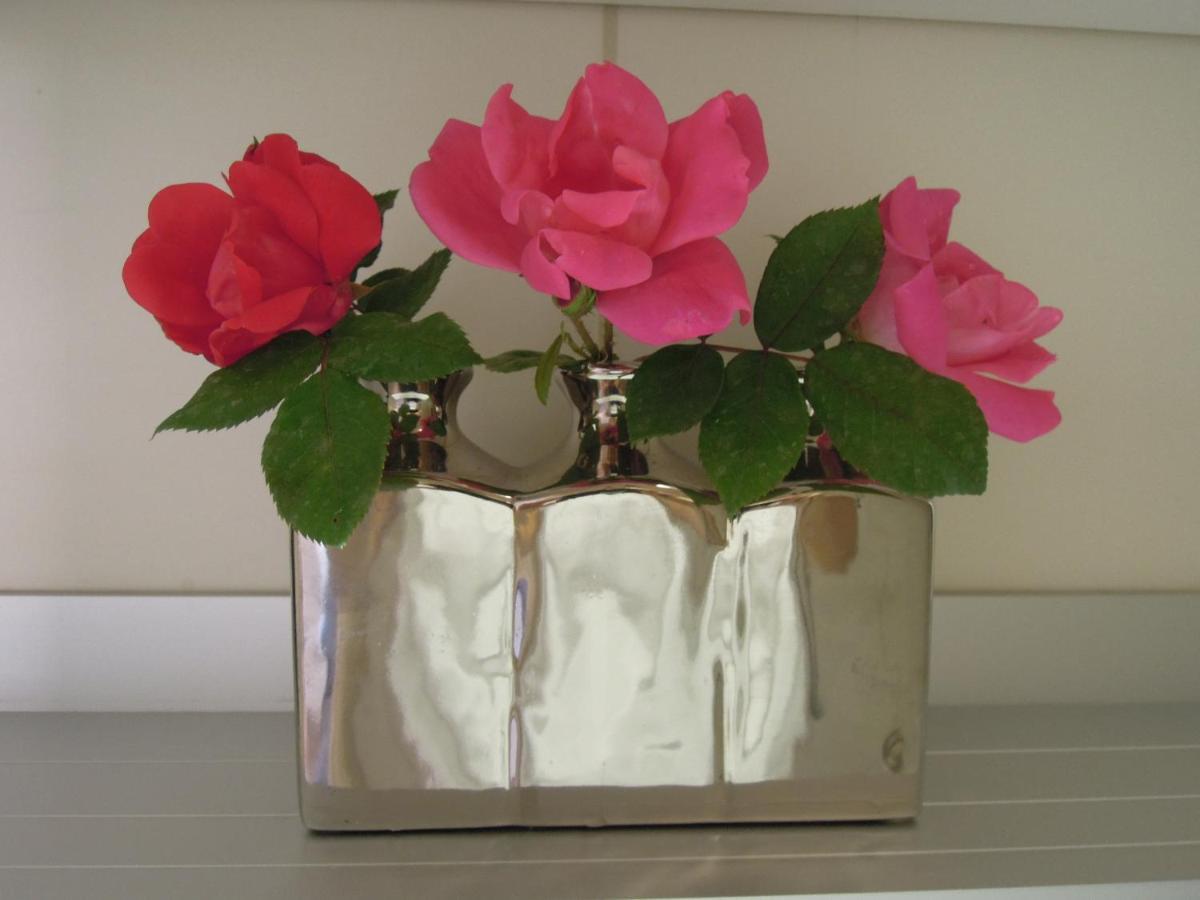 Stella Maris Appartement Umag Buitenkant foto